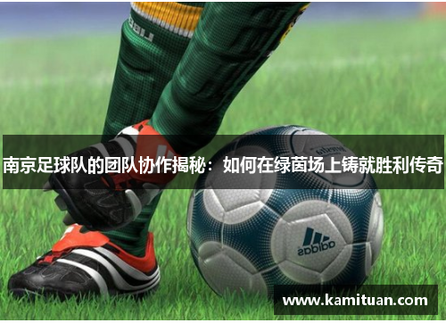 南京足球队的团队协作揭秘：如何在绿茵场上铸就胜利传奇